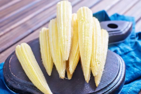 Which Country Produces the Most Green Maize in the World?